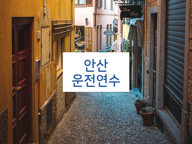 안산운전연수 후기