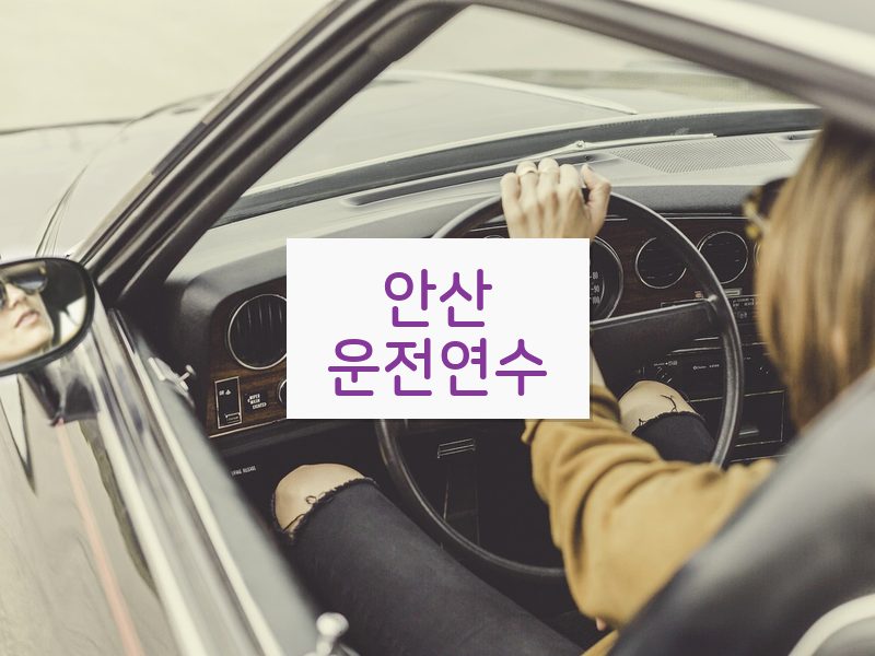 안산운전연수 후기