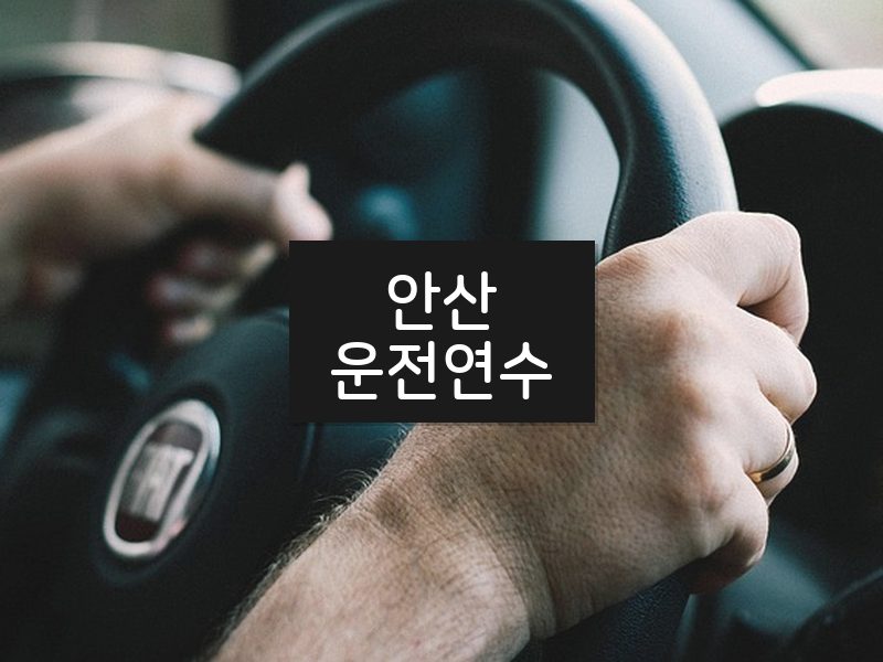 안산운전연수 후기