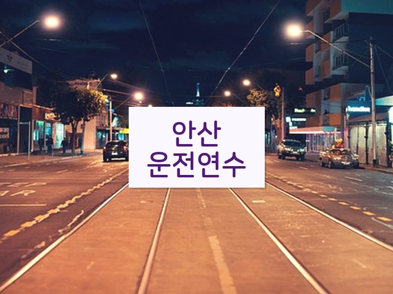 안산운전연수 후기