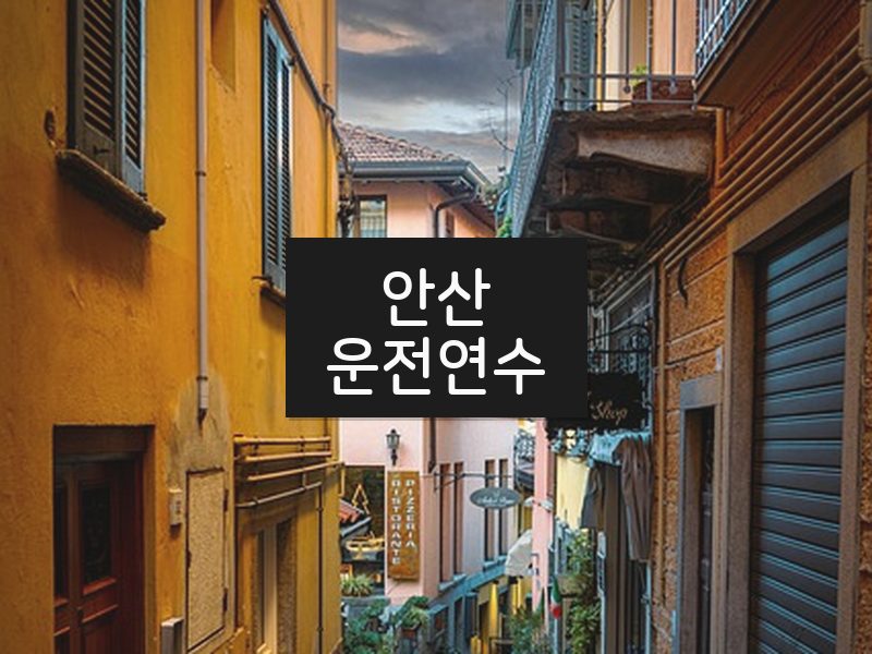 안산운전연수 후기