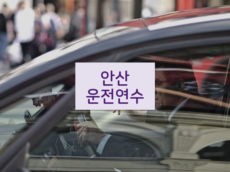 안산운전연수 후기