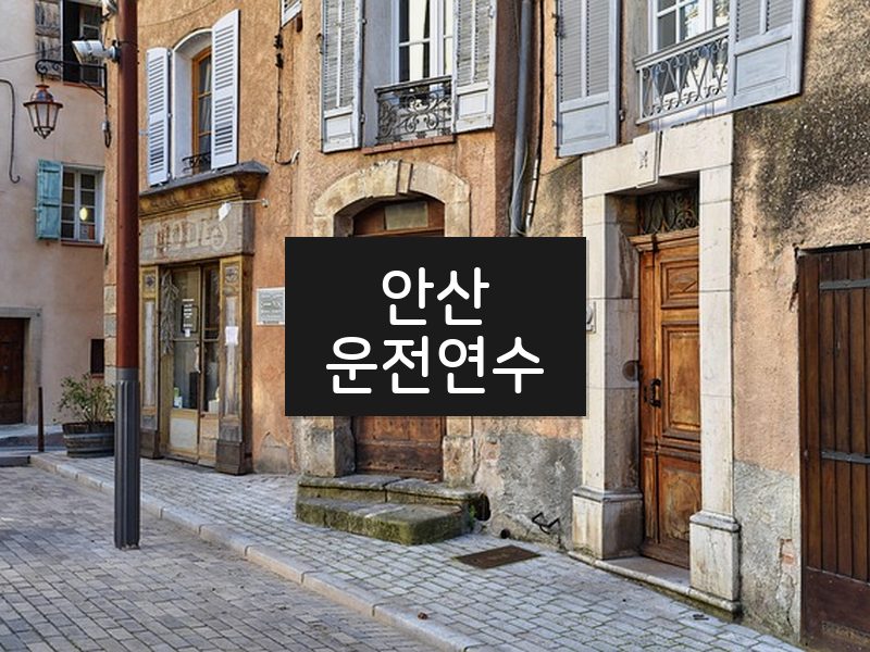 안산운전연수 후기