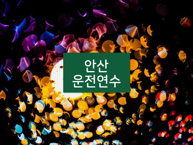 안산운전연수 후기