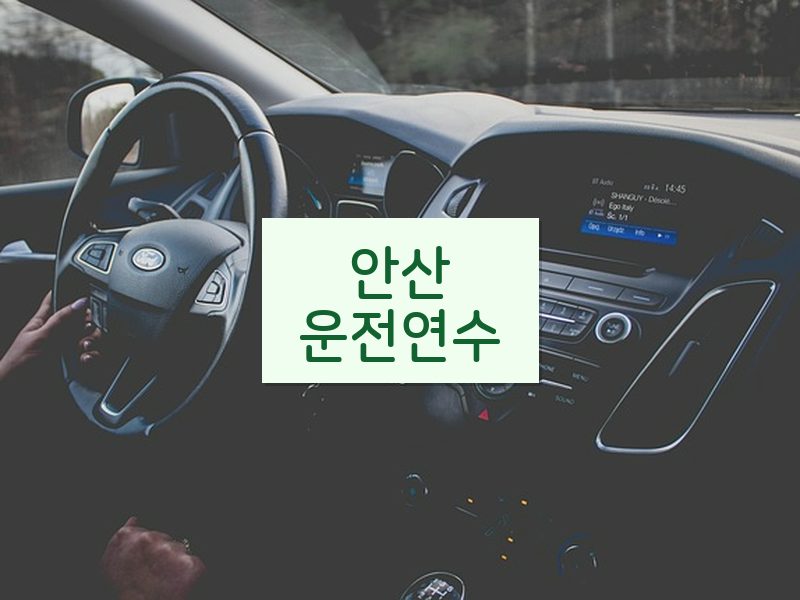 안산운전연수 후기