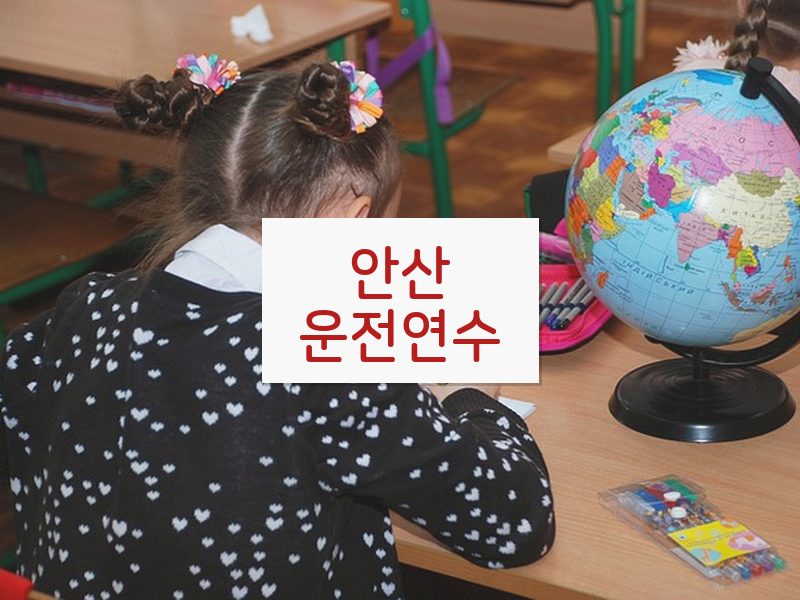안산운전연수 후기