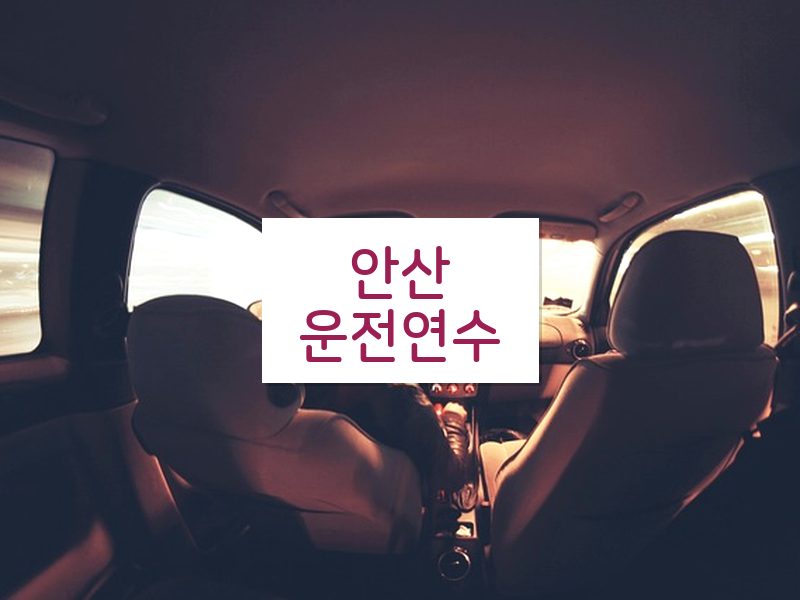 안산운전연수 후기