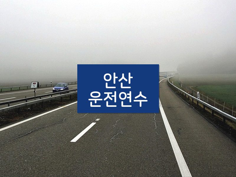 안산운전연수 후기