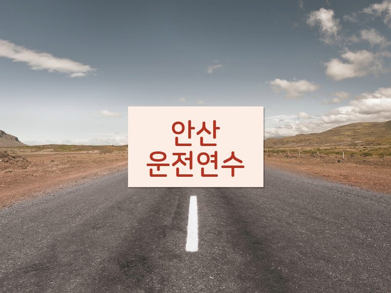 안산운전연수 후기