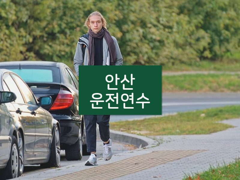 안산운전연수 후기
