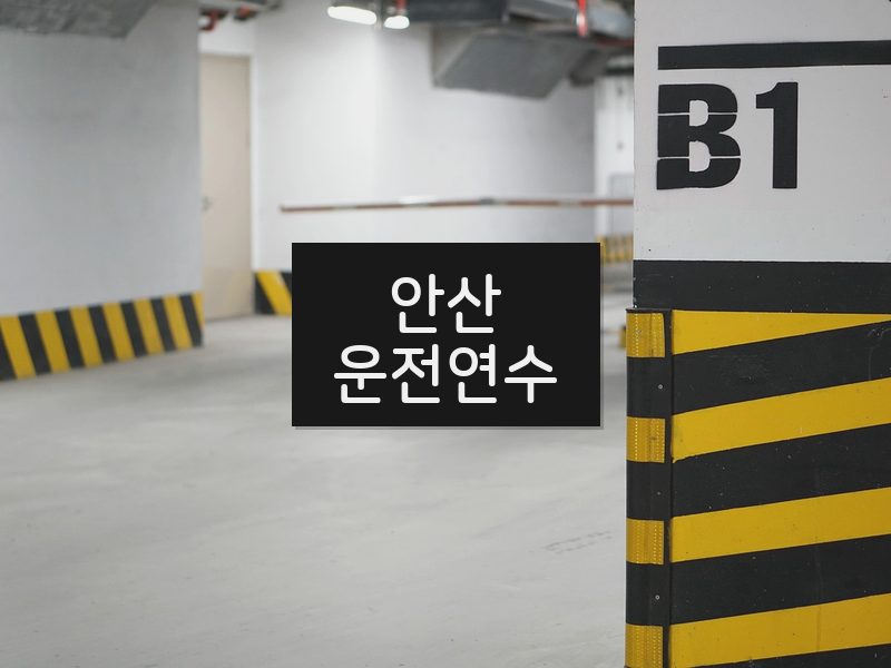 안산운전연수 후기