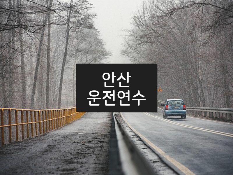 안산운전연수 후기