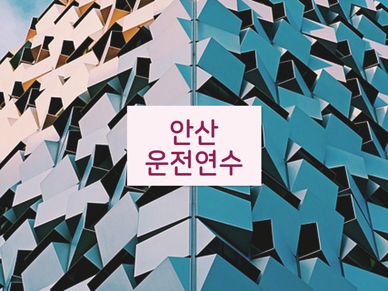 안산운전연수 후기