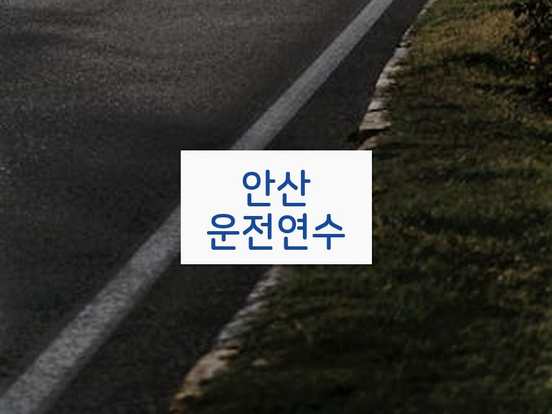 안산운전연수 후기