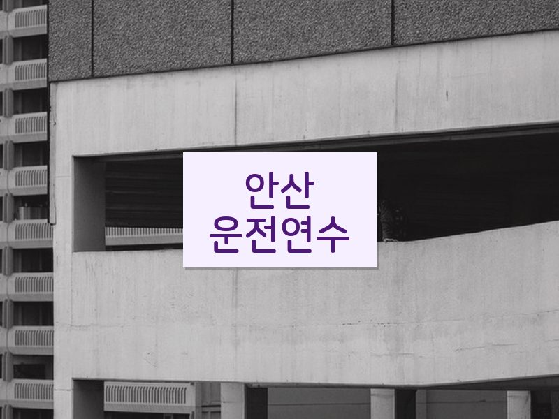 안산운전연수 후기