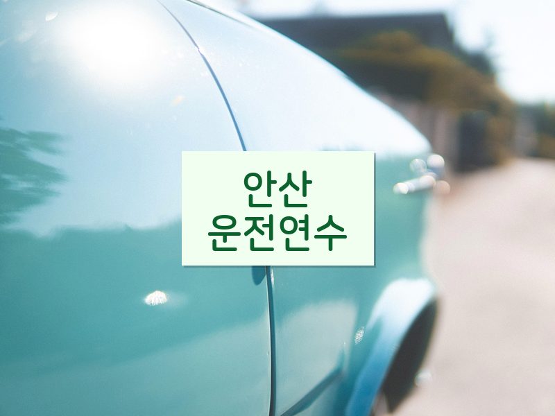 안산운전연수 후기
