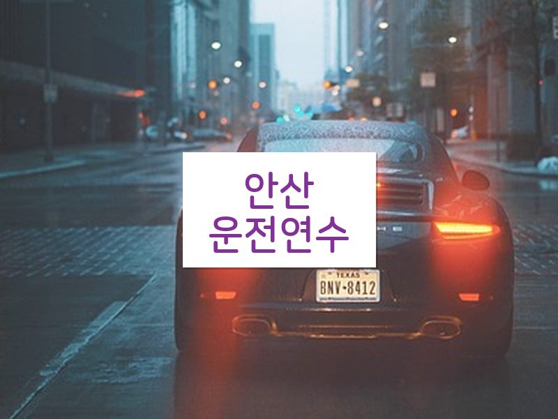 안산운전연수 후기