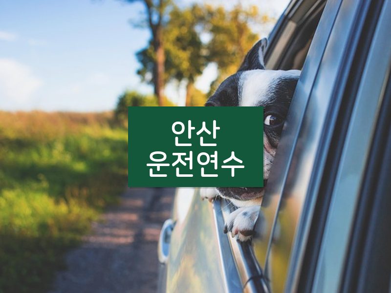 안산운전연수 후기