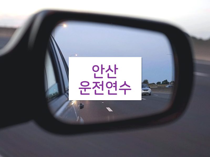 안산운전연수 후기