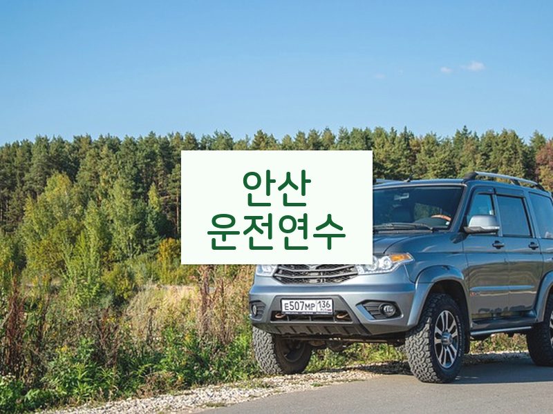 안산운전연수 후기