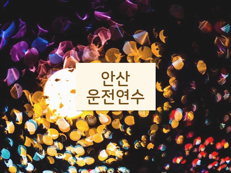 안산운전연수 후기
