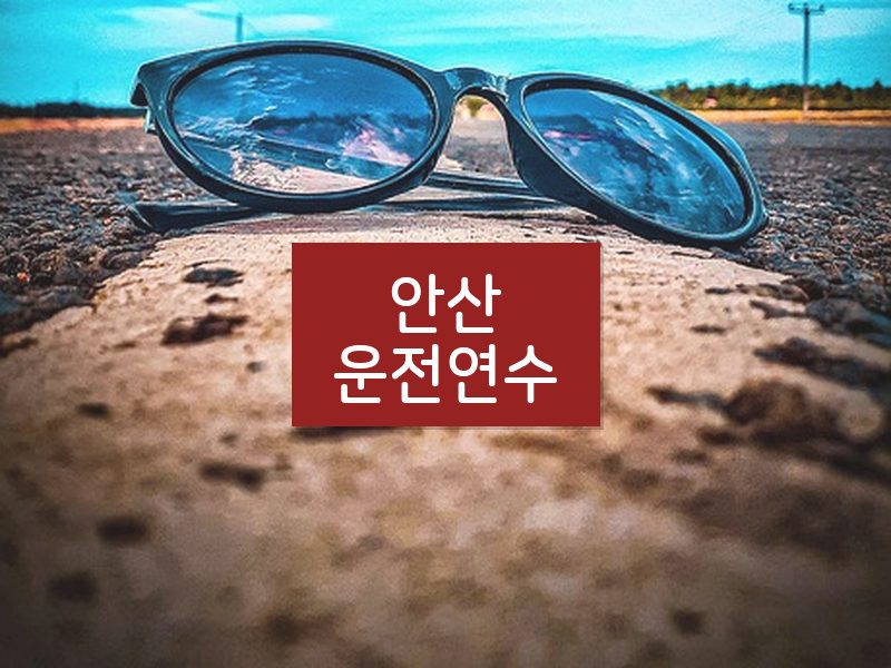 안산운전연수 후기