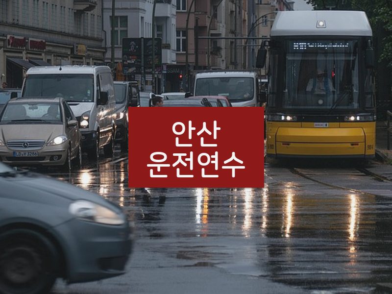 안산운전연수 후기
