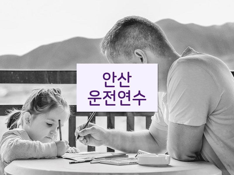 안산운전연수 후기