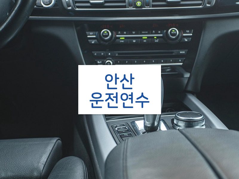안산운전연수 후기