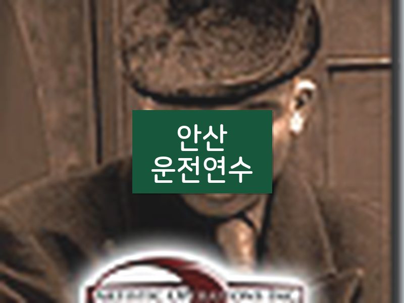 안산운전연수 후기
