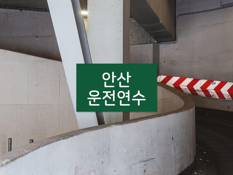 안산운전연수 후기