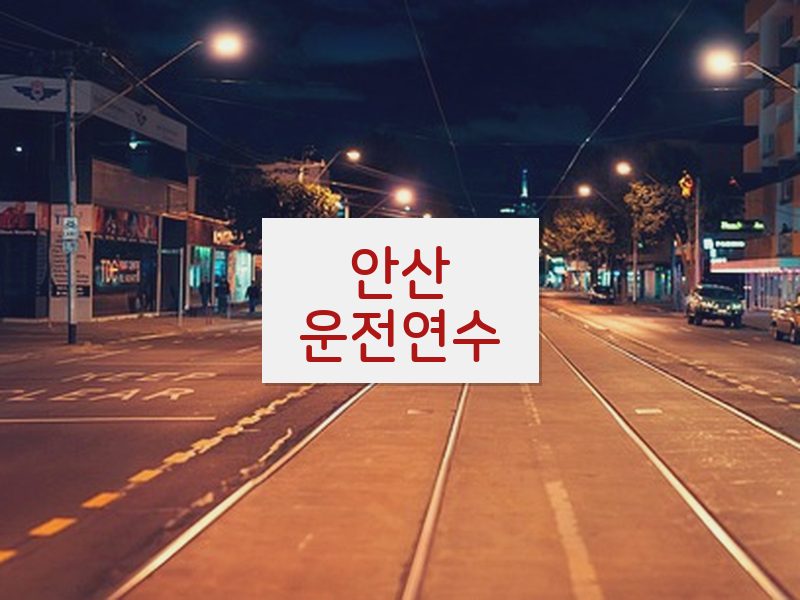 안산운전연수 후기