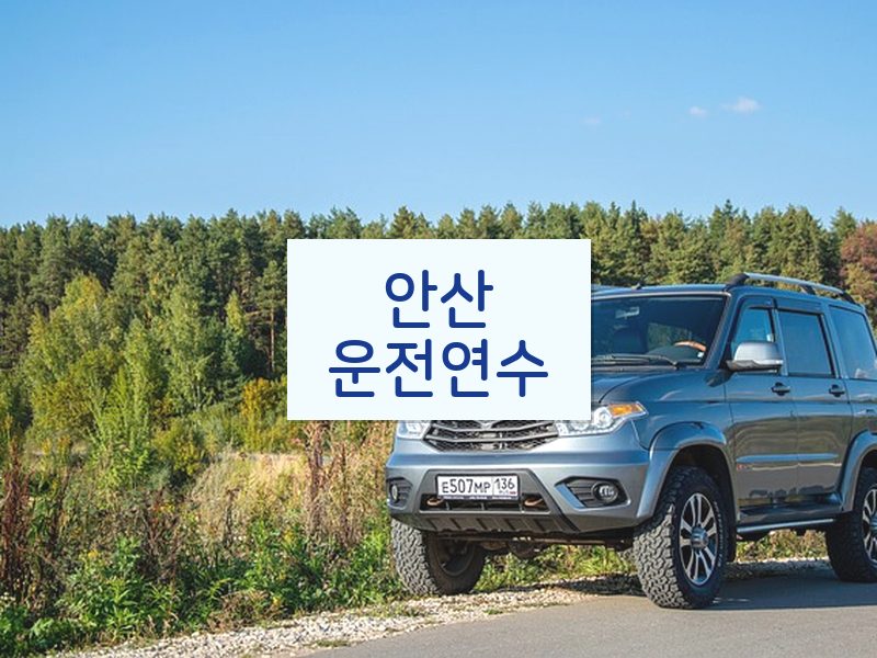 안산운전연수 후기