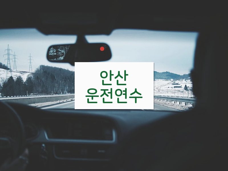 안산운전연수 후기
