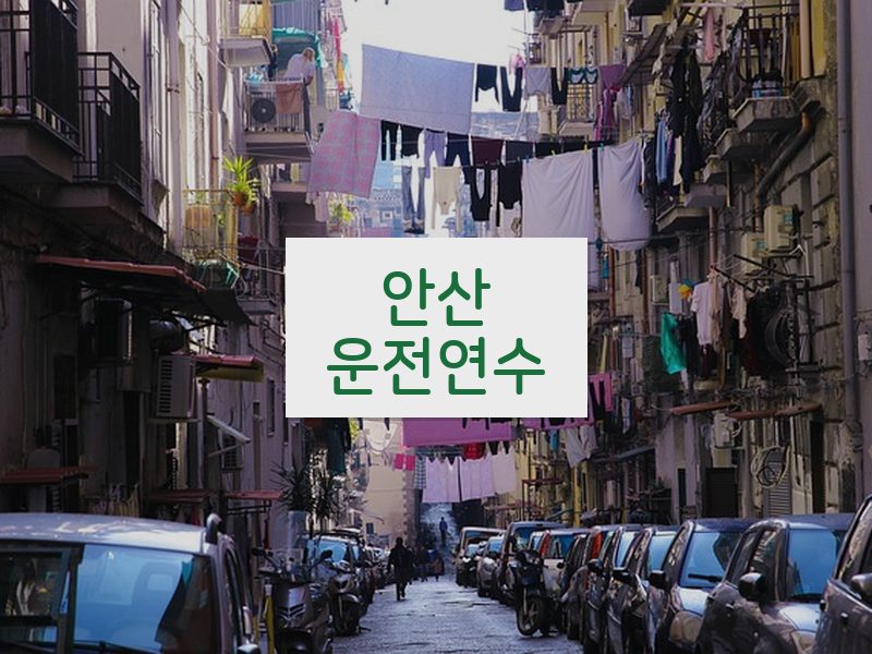 안산운전연수 후기