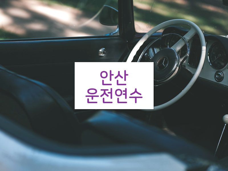 안산운전연수 후기
