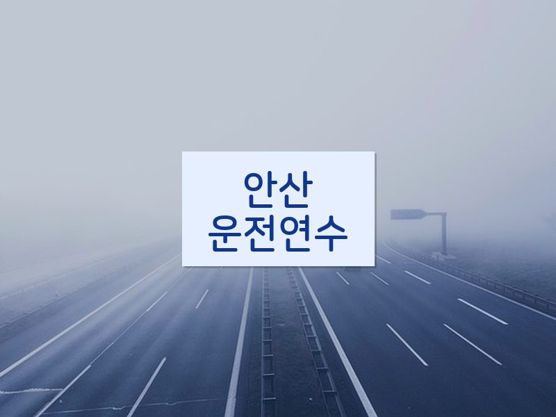 안산운전연수 후기