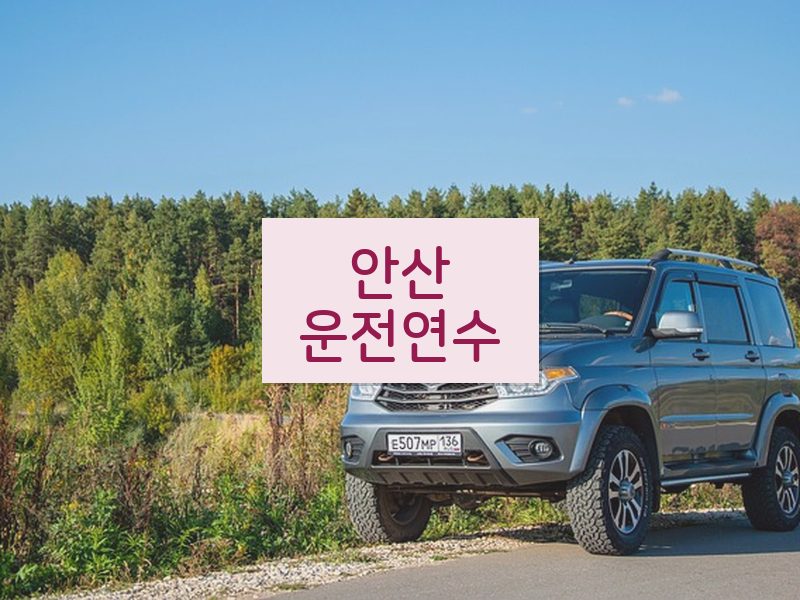 안산운전연수 후기