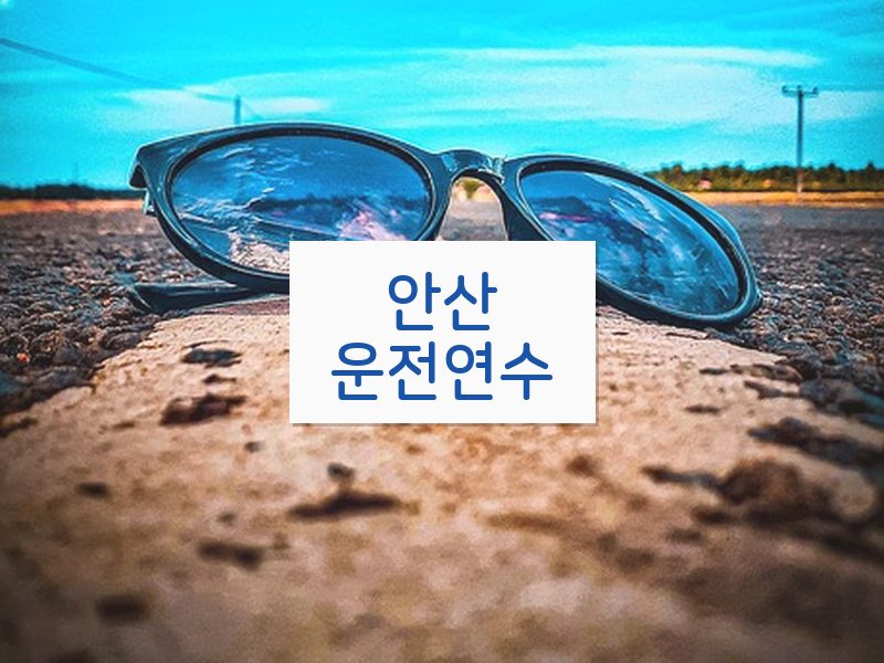안산운전연수 후기