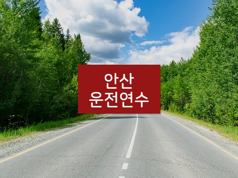 안산운전연수 후기