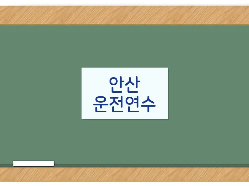 안산운전연수 후기