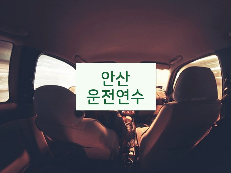안산운전연수 후기