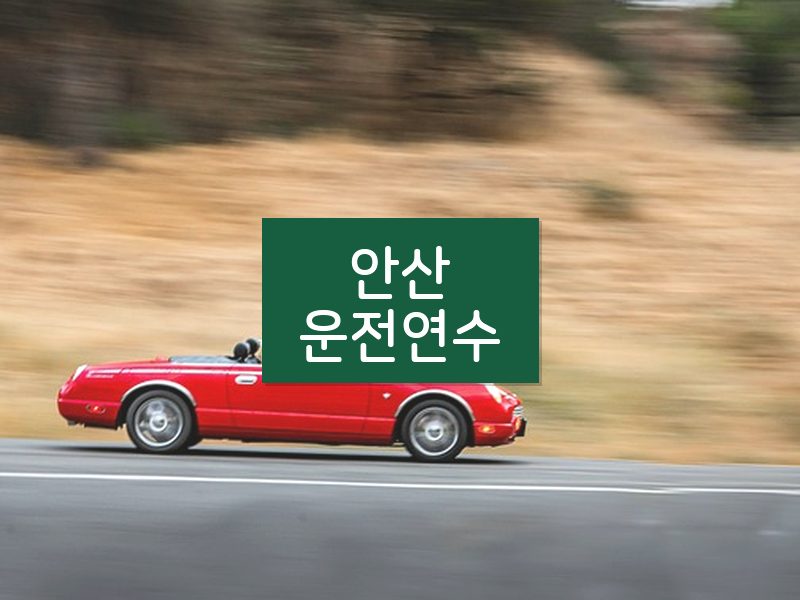 안산운전연수 후기