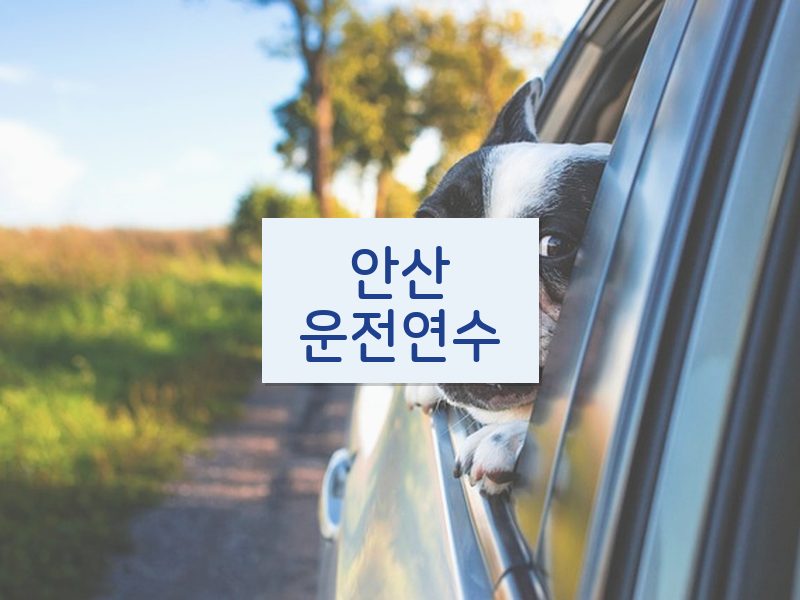 안산운전연수 후기