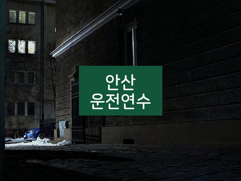 안산운전연수 후기