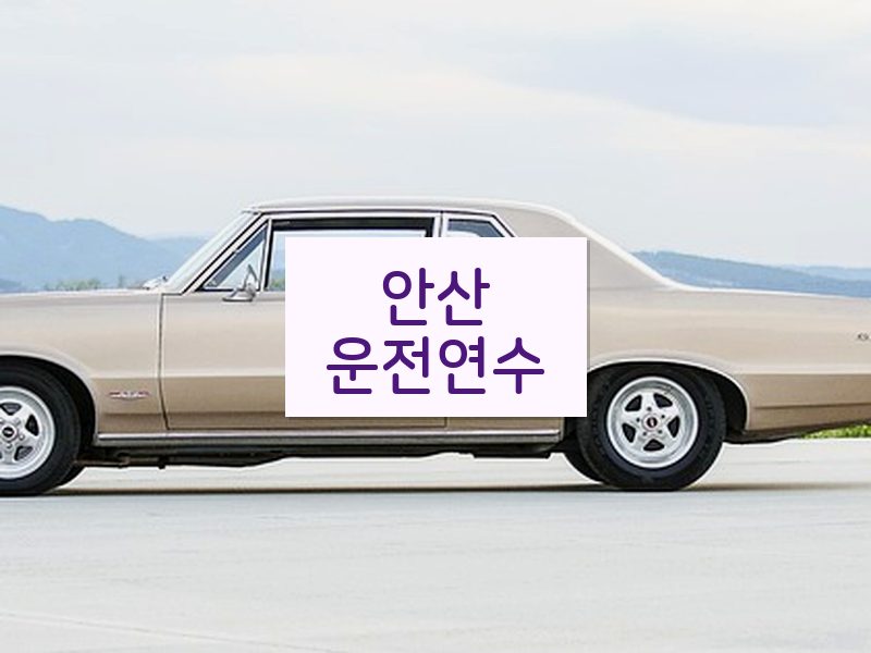 안산운전연수 후기