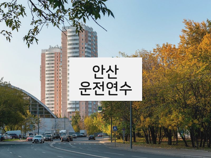 안산운전연수 후기