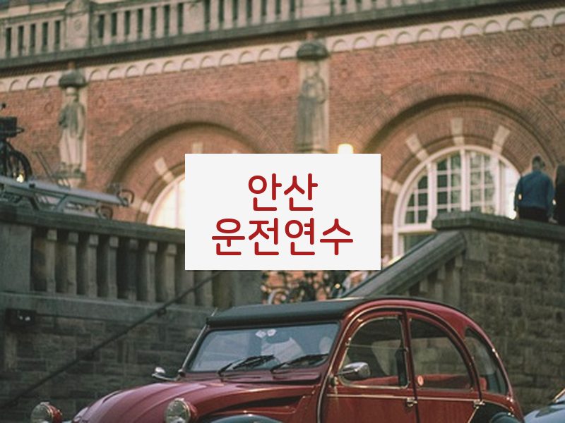 안산운전연수 후기