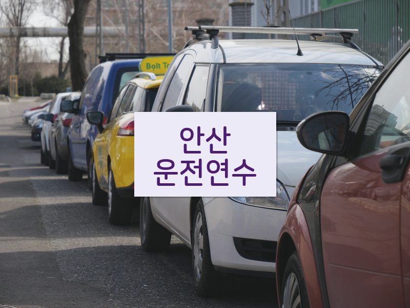 안산운전연수 후기