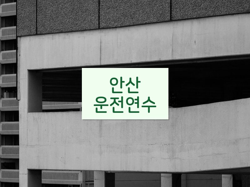 안산운전연수 후기